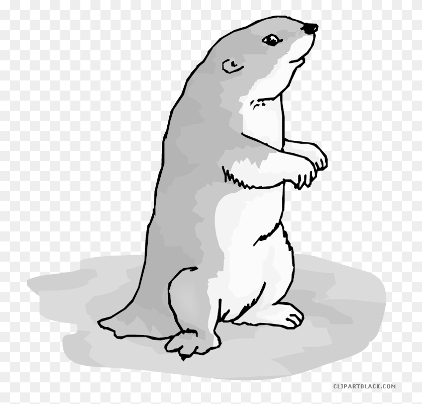 734x743 Otter Clipart Printable Prairie Dog Clipart, Wildlife, Animal, Mammal HD PNG Download