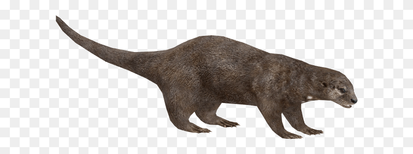 616x254 Otter Pic Zoo Tycoon 2 Otter, Mammal, Animal, Wildlife HD PNG Download