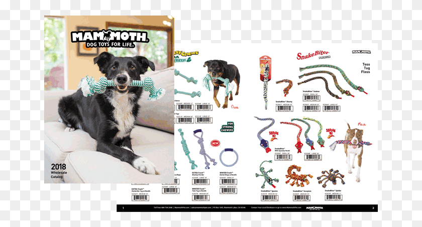 665x393 Our 2019 Catalog Is Filled With Premium Dog Toys For Companion Dog, Pet, Canine, Animal HD PNG Download