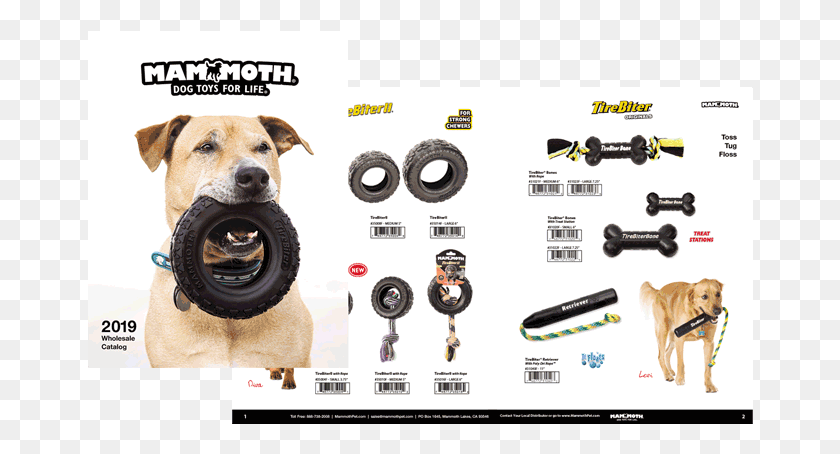 666x394 Our 2019 Catalog Is Filled With Premium Dog Toys For Companion Dog, Pet, Canine, Animal HD PNG Download