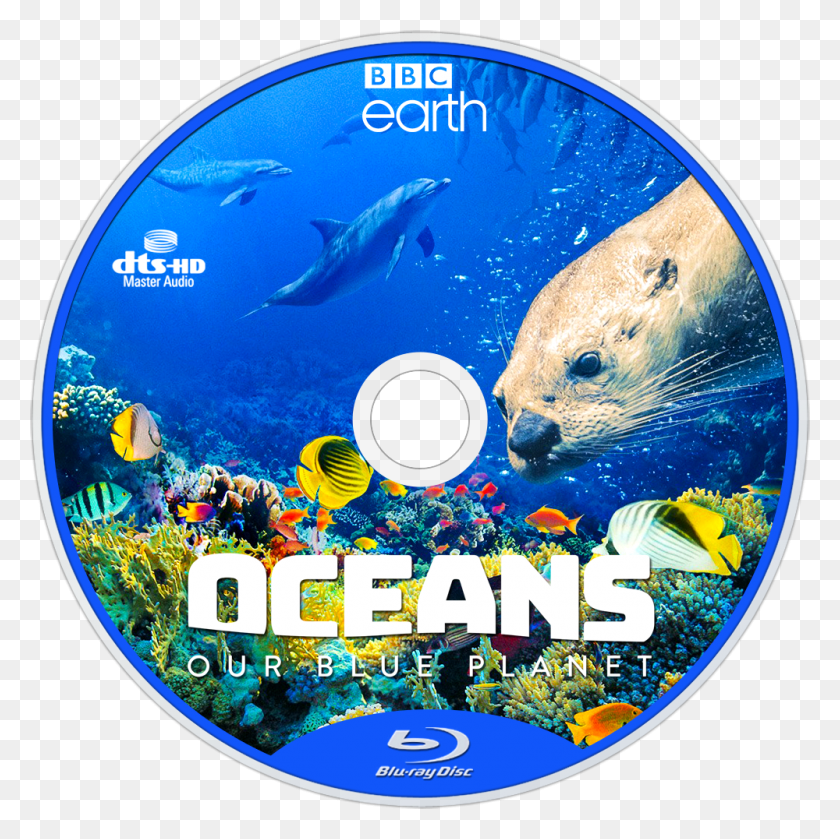 1000x1000 Our Blue Planet Bluray Disc Image Oceans Our Blue Planet 2018 4k, Disk, Dvd, Bear HD PNG Download