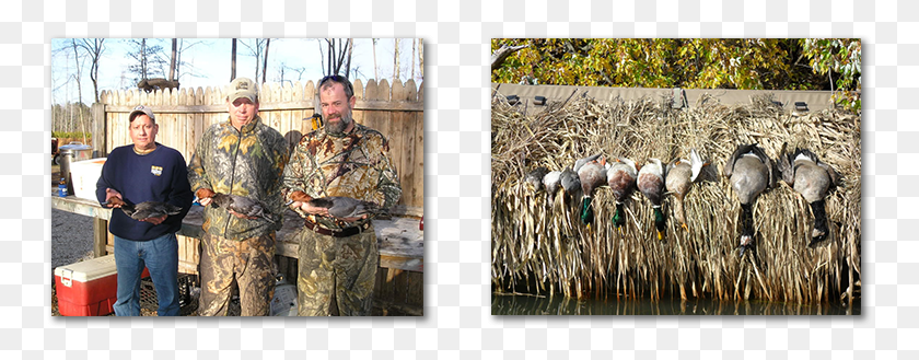 755x269 Our Chesapeake Bay Diver Duck Hunts Are World Famous Grass, Person, Human, Military HD PNG Download