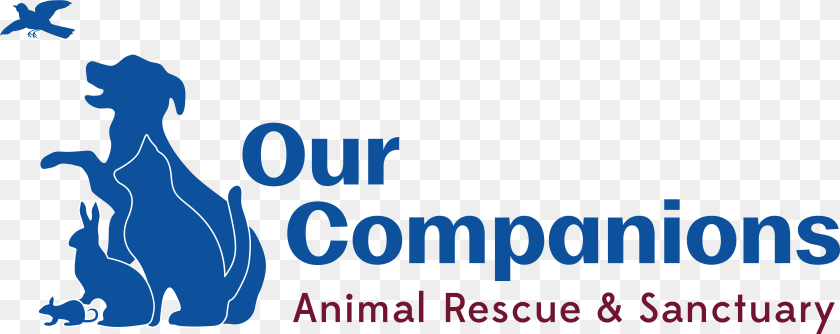 5788x2300 Our Companions Animal Rescue Amp Sanctuary Our Companions Logo, Baby, Person, Outdoors Sticker PNG