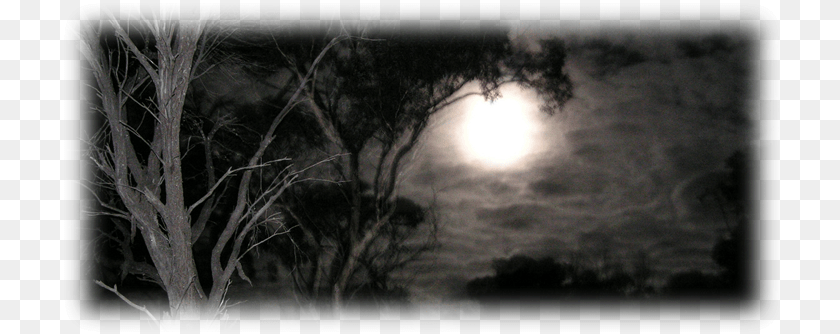 719x334 Our Dead Woods Forest Is An Outdoor Attraction Surrounded Scary Night Time, Moon, Astronomy, Outdoors, Full Moon Sticker PNG