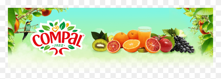 1024x320 Our Fruit Nectar And 100 Fruit Juice Do Not Contain Compal, Plant, Citrus Fruit, Food HD PNG Download