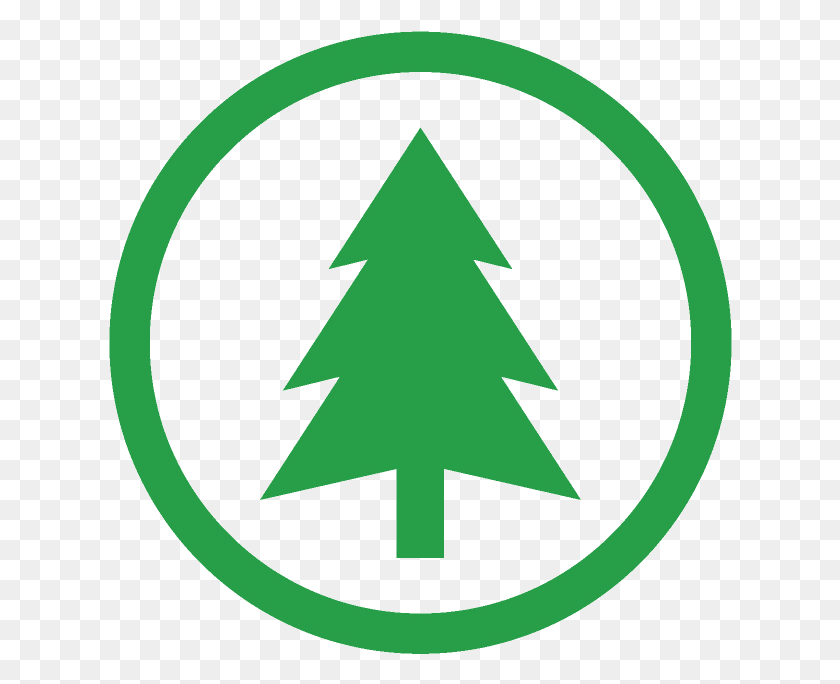 624x624 Our Mixed Pine Is A Very Good Firewood And Is Economically Pine Tree In Circle Logo, Symbol, Star Symbol HD PNG Download