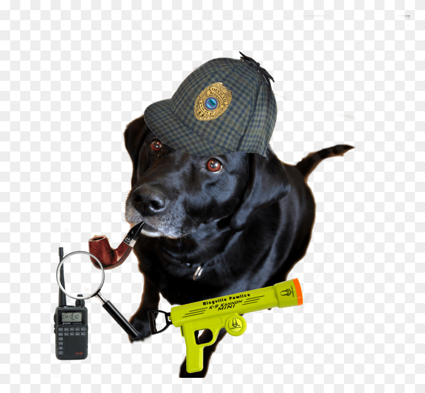 1600x1474 Our Next Detective Is Edward Dog Catches Something, Toy, Hat, Clothing HD PNG Download
