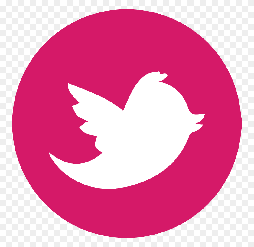 760x755 Descargar Png / Vínculo De Twitter, Icono De Twitter, Marrón, Logotipo, Símbolo, Marca Registrada Hd Png