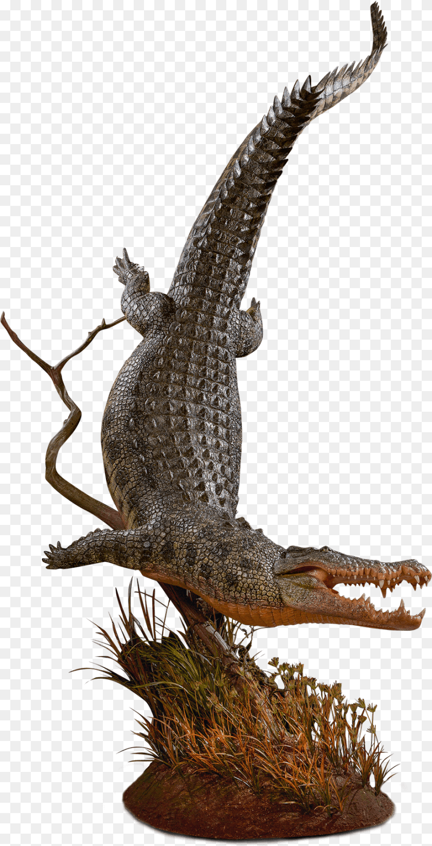 Our Work Animal Figure, Crocodile, Dinosaur, Reptile Sticker PNG