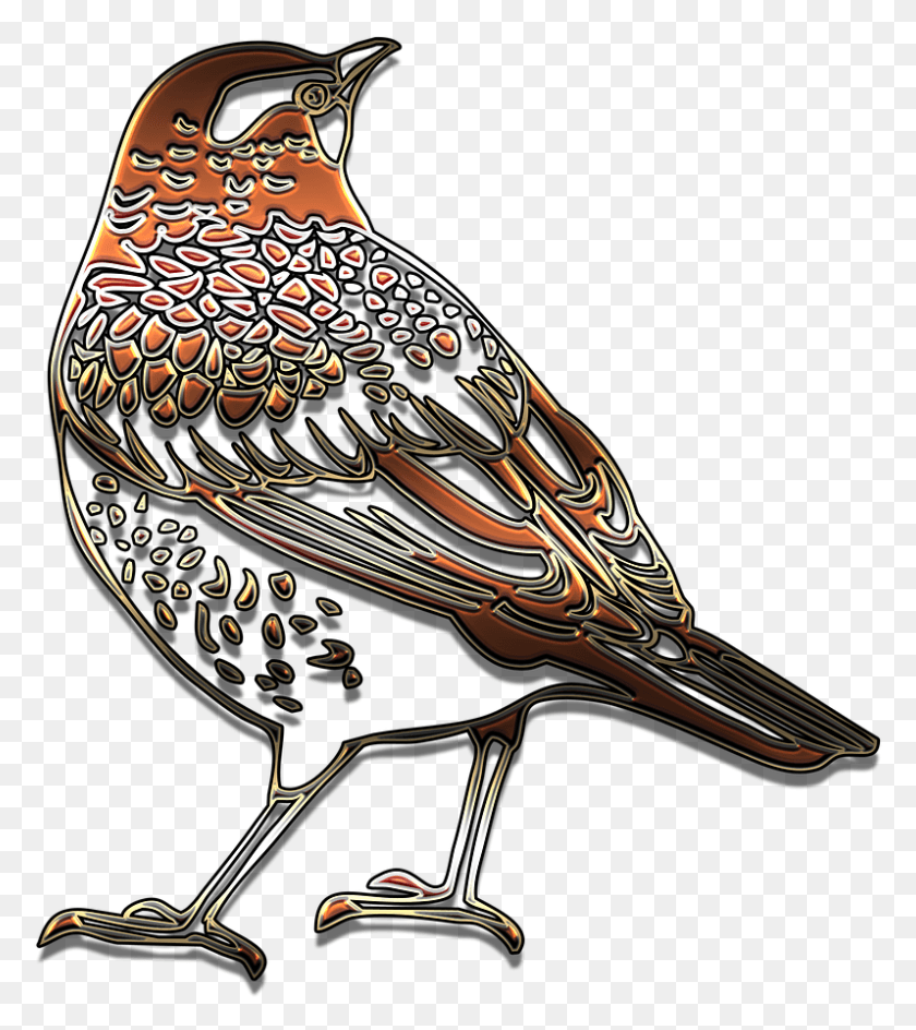 Outline Bird Beautiful Songbird, Animal, Blackbird, Agelaius HD PNG Download