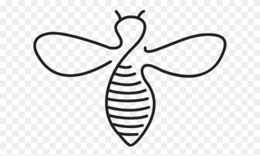 627x443 Outline Of A Bee, Text, Stencil, Symbol HD PNG Download