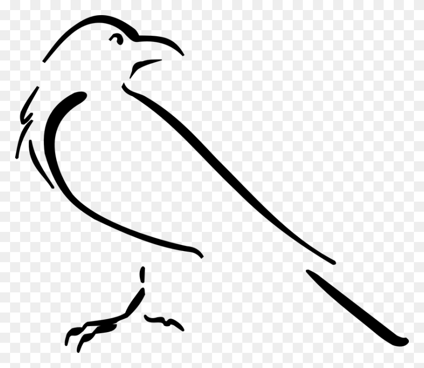 837x720 Outline Of Shop Cliparts Buy Clip Art Crow Outline, Gray, World Of Warcraft HD PNG Download