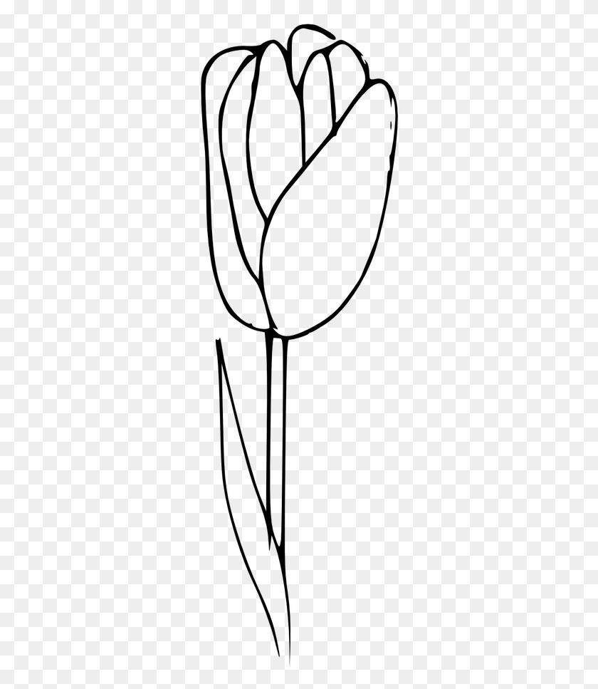 282x907 Outline Tulip Coloring Flower, Gray, World Of Warcraft HD PNG Download