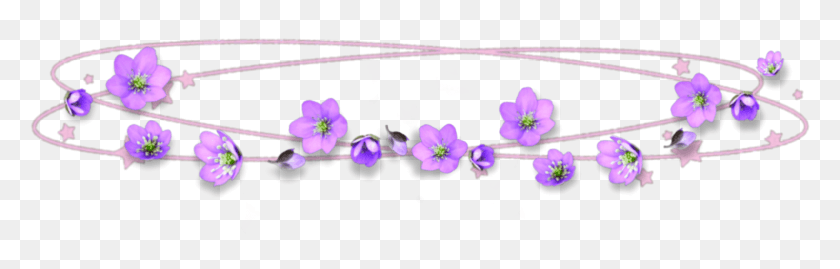 2094x562 Overlay Crown Kawaii Tumblr Flower Overlays Tumblr Bracelet, Purple, Graphics HD PNG Download