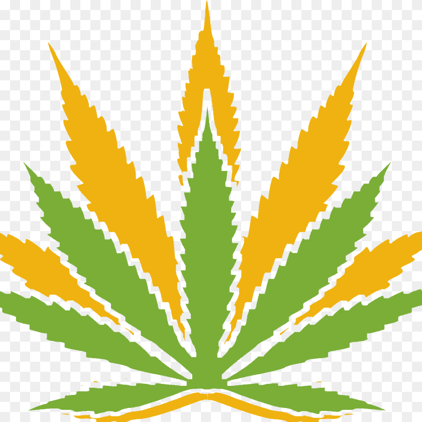 1528x1528 Overview Of Medical Marijuana Nature Med, Leaf, Plant, Weed PNG