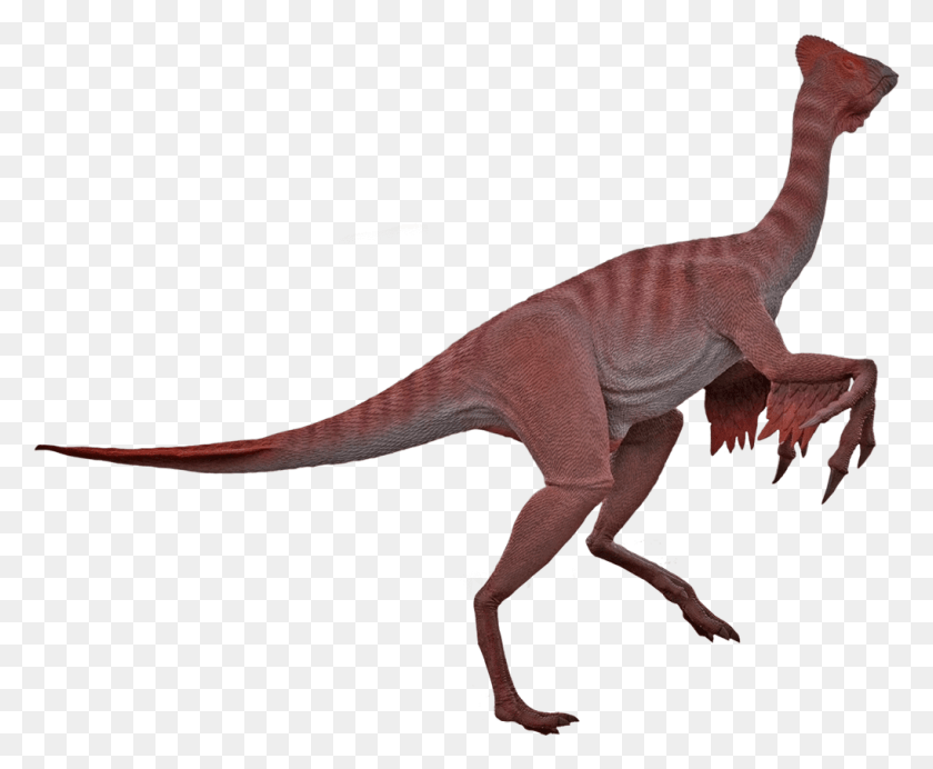 1018x825 Descargar Png Oviraptor Dinosaurios Moab Gigantes, Dinosaurio, Reptil, Animal Hd Png
