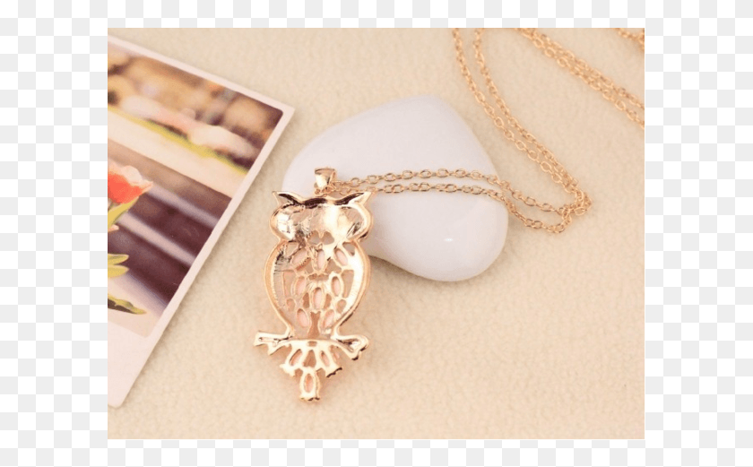 601x461 Owl, Pendant, Necklace, Jewelry HD PNG Download
