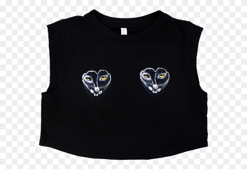 577x515 Owl, Clothing, Apparel, Sleeve HD PNG Download