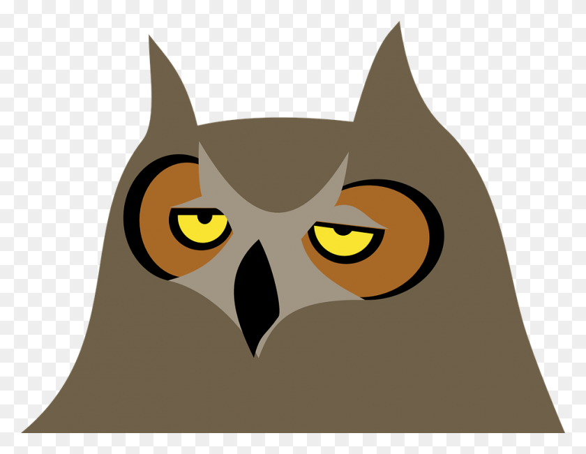949x720 Owl Animal Bird Bored Animal Cartoon, Pet, Cat, Mammal HD PNG Download