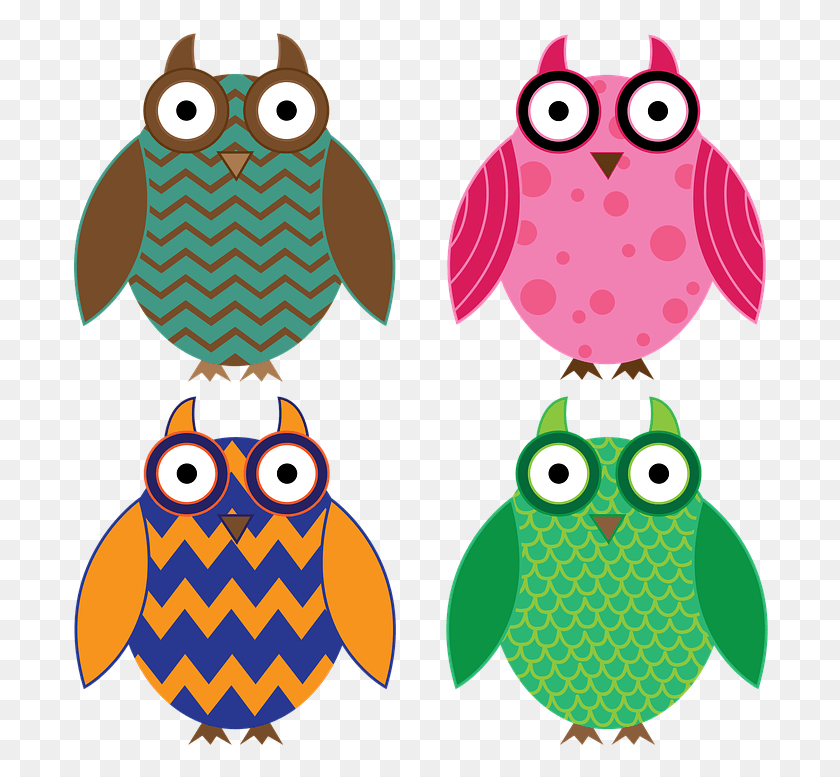 700x717 Owl Birds Animal Animals Vector Sova Vektor, Pattern, Applique, Toy HD PNG Download