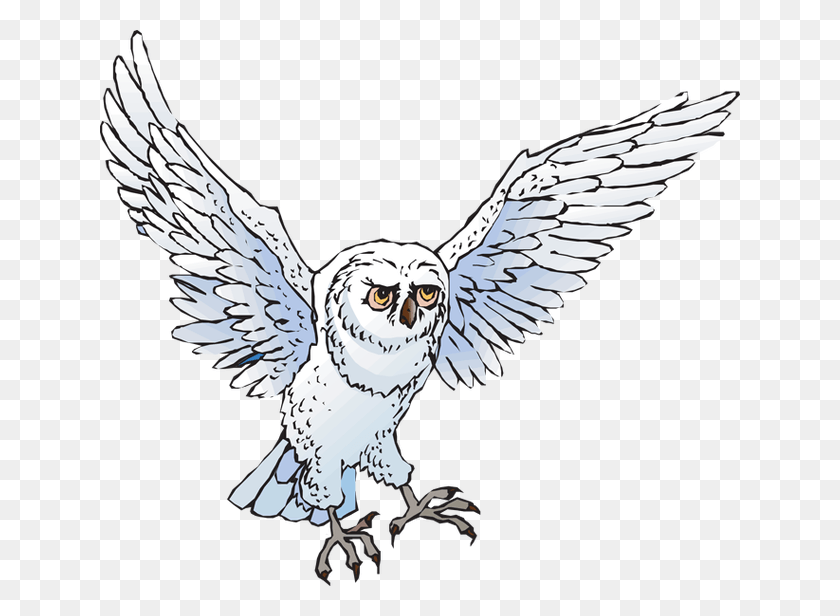 640x556 Owl Clip Art Snow Owl Snowy Owl Clipart, Bird, Animal, Flying HD PNG Download