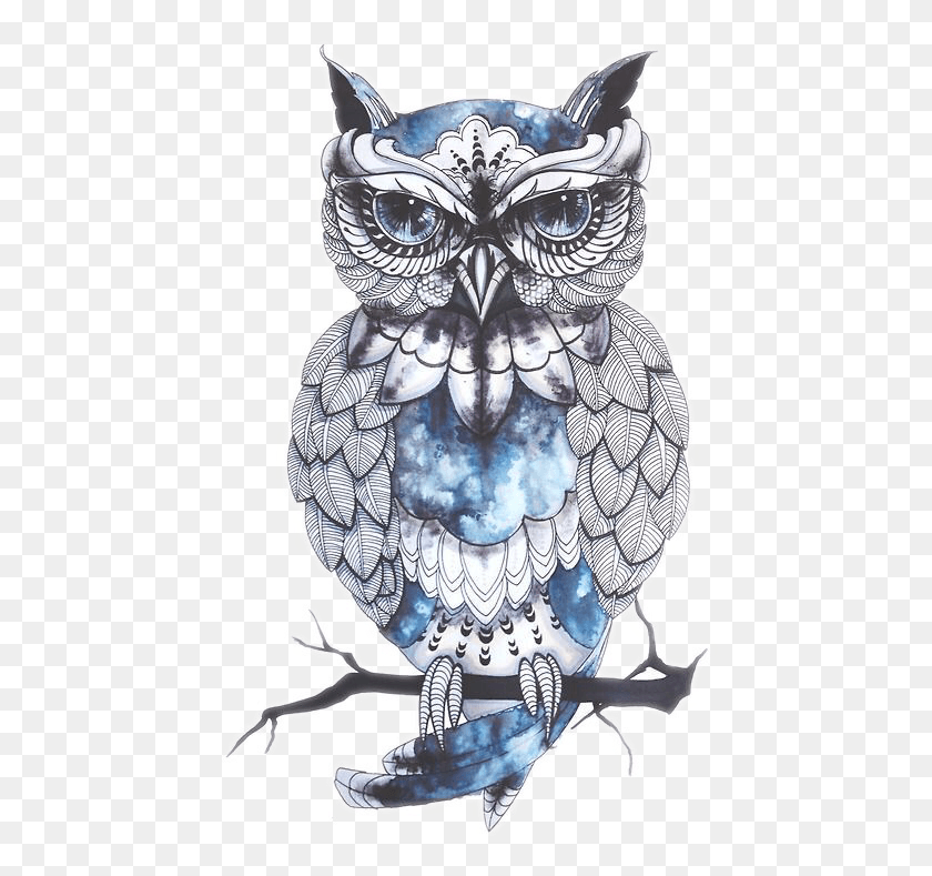 457x729 Owl Drawing Artist Bird Tattoo Free Photo Clipart Tatuagem Corujas Desenhos, Doodle HD PNG Download