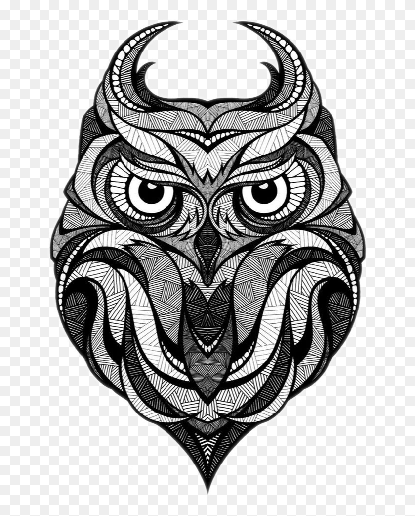 660x982 Owl Illustrator Drawing Illustration Tattoo Andreas Preis, Doodle HD PNG Download