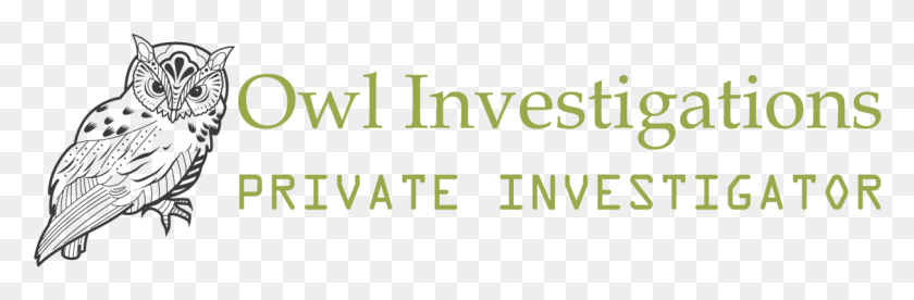 1214x337 Owl Investigations Fundations, Text, Alphabet, Word HD PNG Download