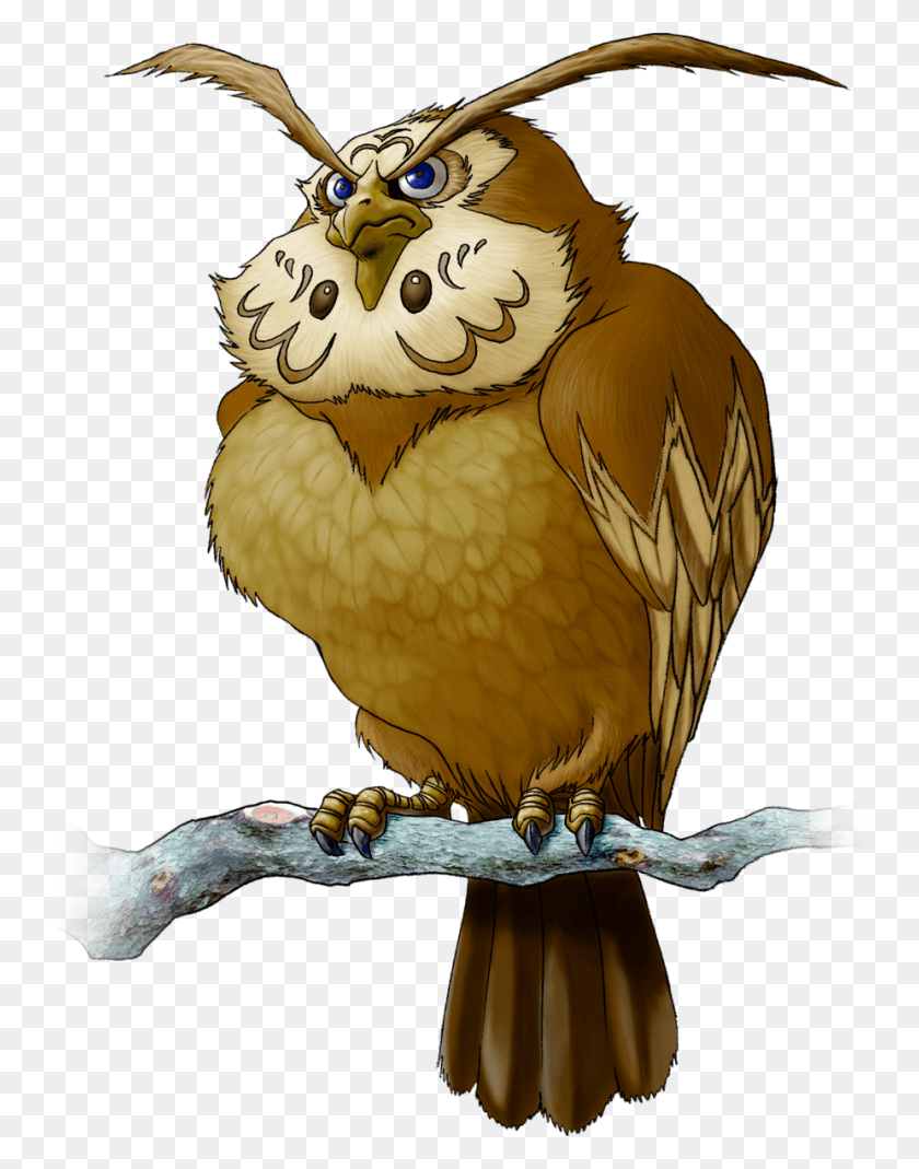 926x1198 Owl Kaepora Gaebora, Bird, Animal, Vulture HD PNG Download