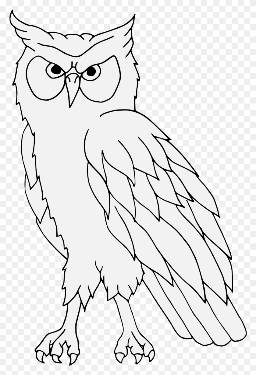 901x1354 Owl Line Art Heraldry Free Frame Clipart Heraldic Owl, Animal, Bird, Person HD PNG Download