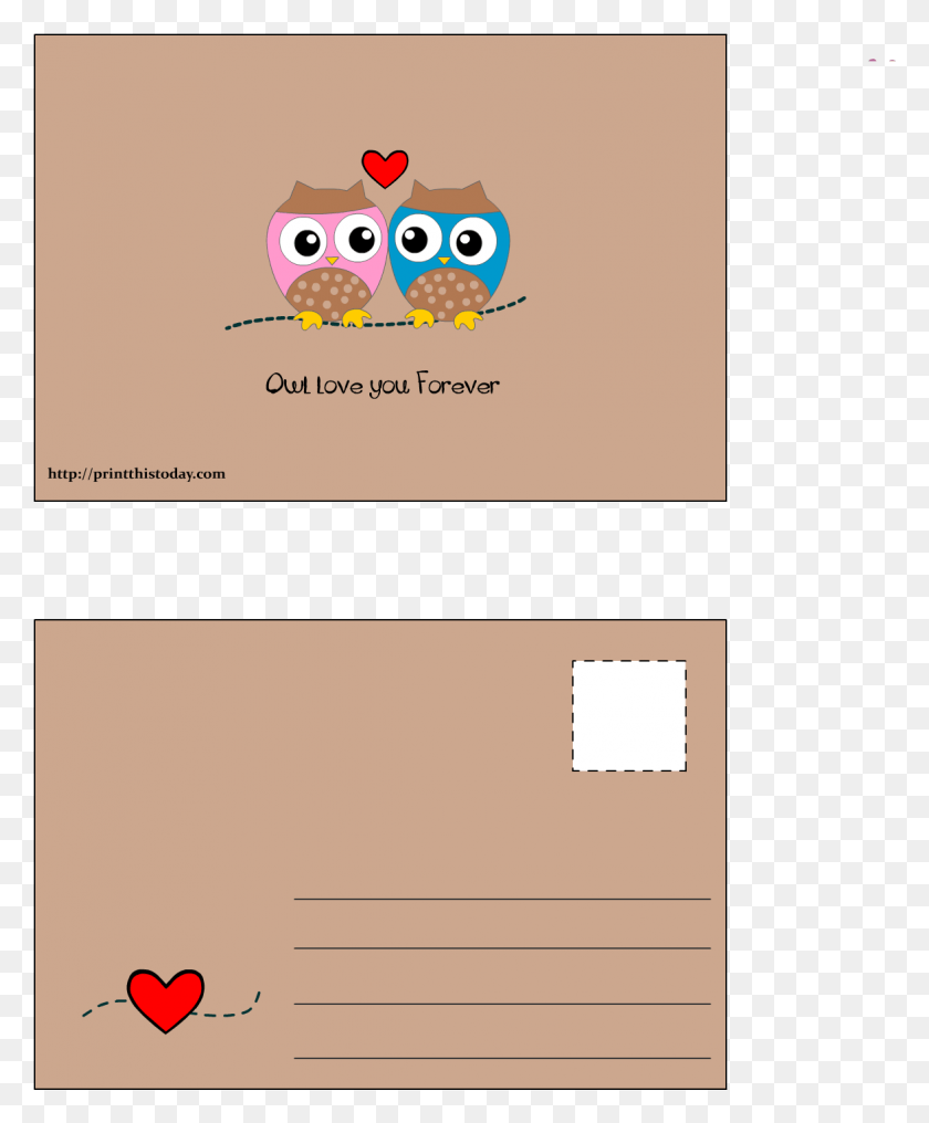 1175x1441 Owl Love You Forever Postcard Postcard I Love You, Envelope, Mail, Text HD PNG Download