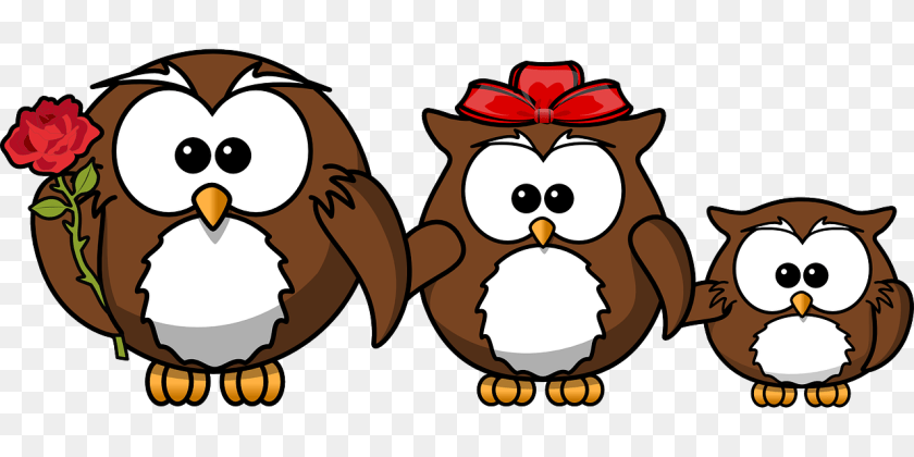 1280x640 Owl Mediation Family Rosehall Lawyers, Baby, Person, Flower, Plant PNG