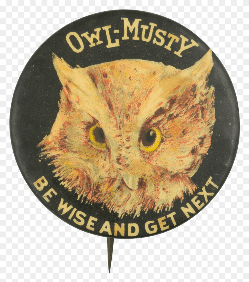 895x1022 Descargar Png Owl Musty Be Wise And Get Next Beer Button Museo Brenau Women39S College Seal, Bird, Animal, Logo Hd Png