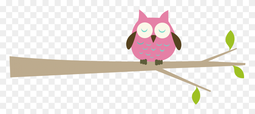 2225x905 Owl On Tree Clipart, Animal, Bird, Doodle HD PNG Download