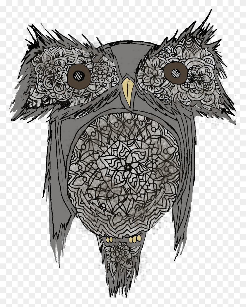 2434x3089 Owl Owala Brown Bird Eastern Screech Owl HD PNG Download