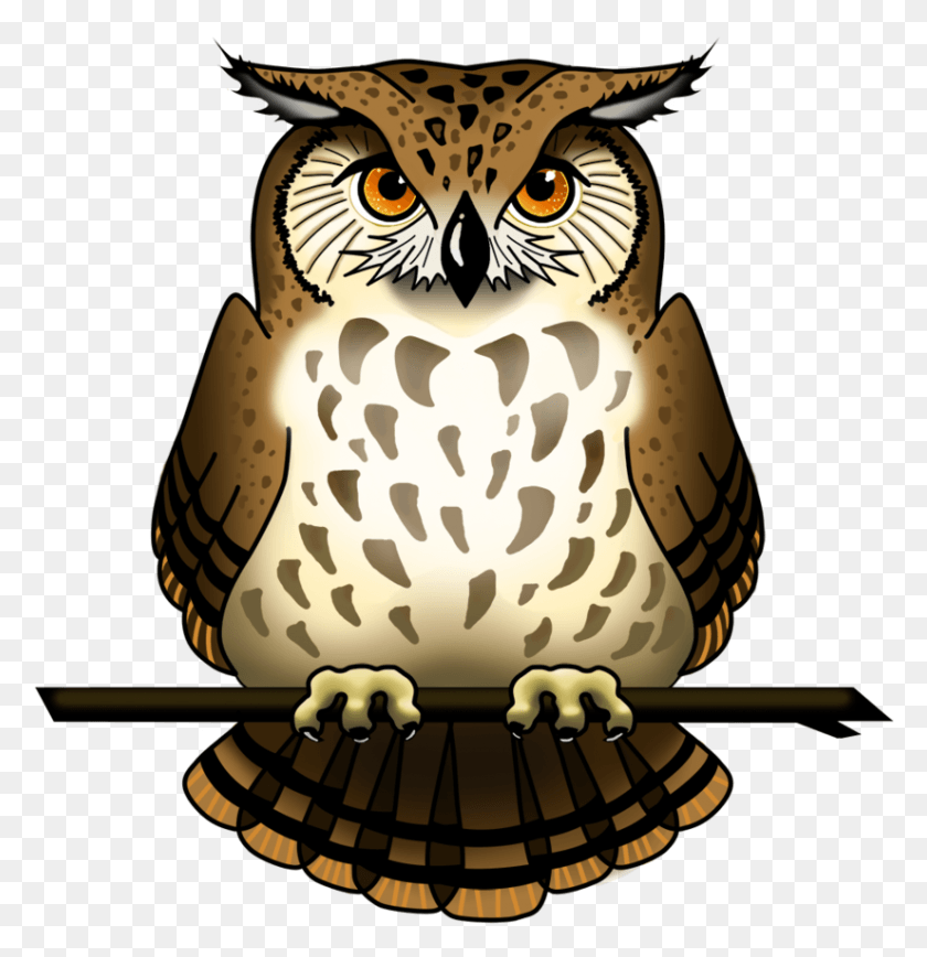 825x855 Owl Picture Image Of Owl, Lamp, Bird, Animal HD PNG Download