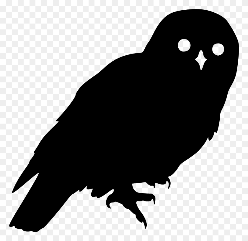 1279x1245 Owl Silhouette No Background, Gray, World Of Warcraft HD PNG Download