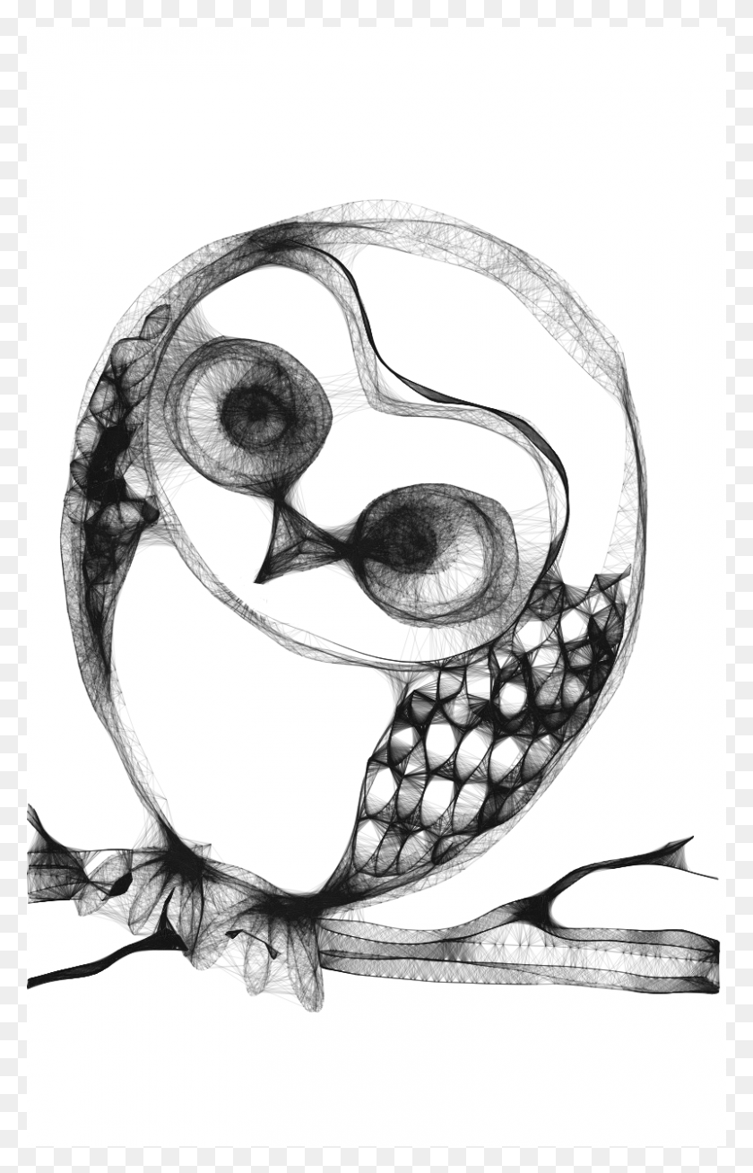 800x1280 Owl Sketch, Doodle HD PNG Download