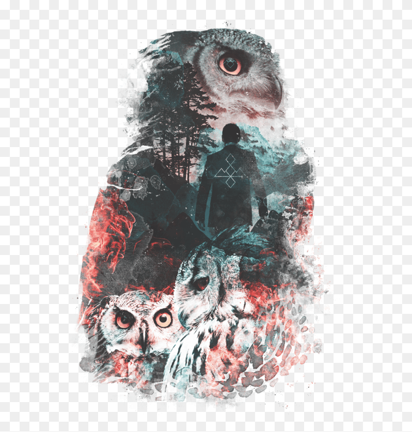 584x821 Owls Are Not What They Seem Art, Chicken, Bird, Animal HD PNG Download