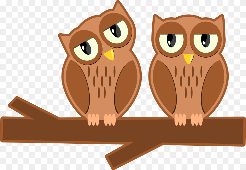 2400x1659 Owls On A Branch Cartoon, Animal, Bear, Mammal, Wildlife Transparent PNG