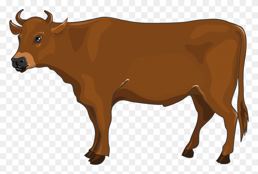 2670x1740 Png Бык, Корова, Крупный Рогатый Скот, Млекопитающее Png Скачать