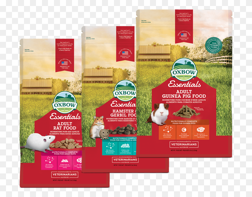 714x599 Oxbow Adult Guinea Pig Food, Flyer, Poster, Paper Descargar Hd Png