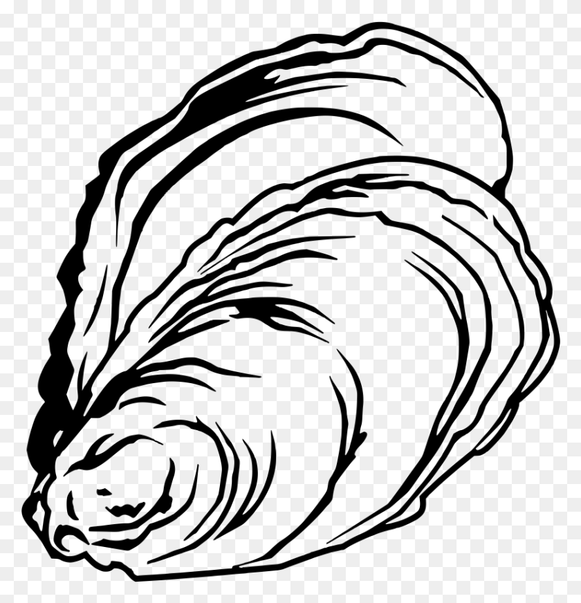 826x860 Oyster Drawing At Getdrawings Oyster Fish Drawing, Gray, World Of Warcraft HD PNG Download