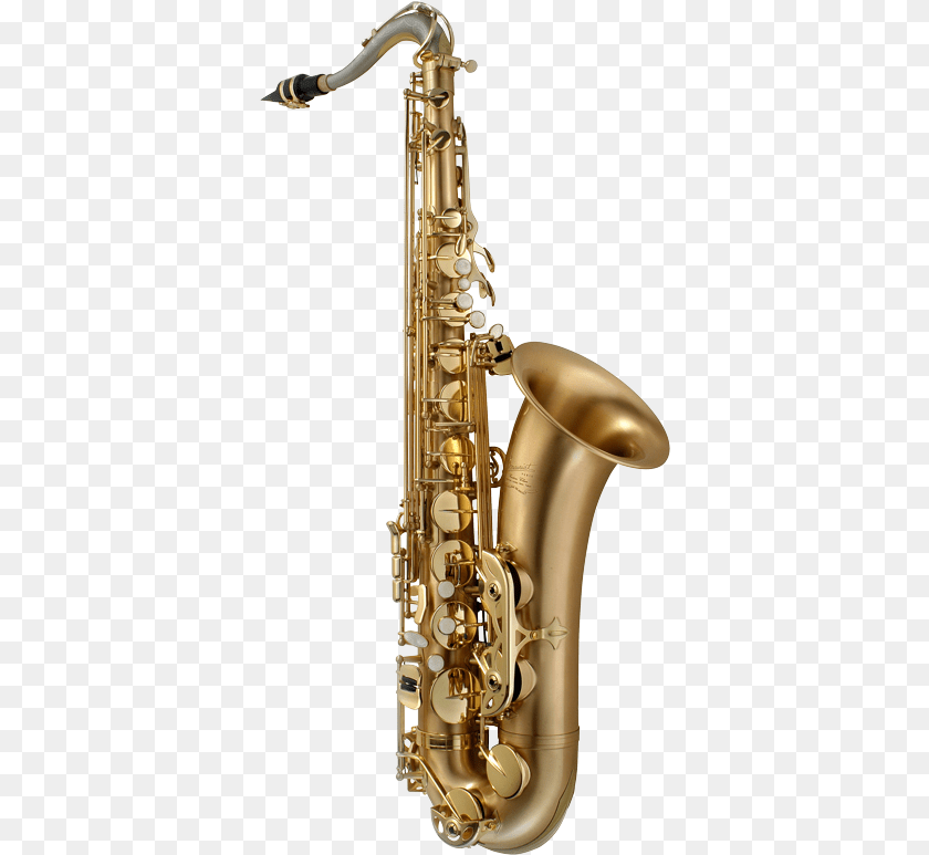 372x773 P Mauriat 67rx Alto Sax, Musical Instrument, Saxophone, Smoke Pipe Clipart PNG