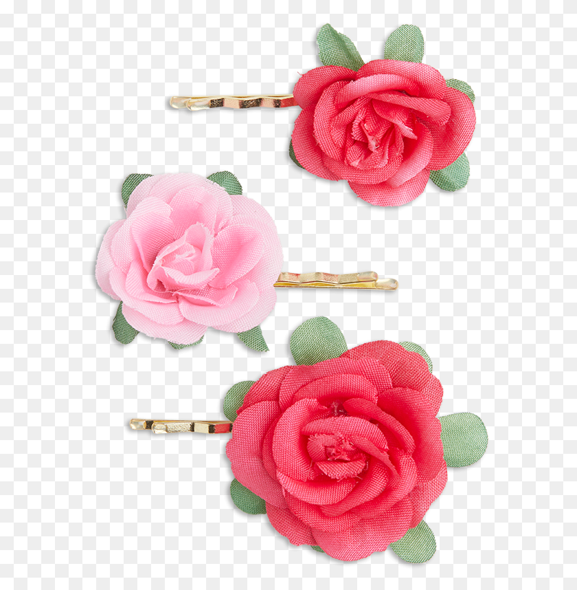 586x798 Pack Hair Pins 499 Garden Roses, Hair Slide, Plant, Flower HD PNG Download