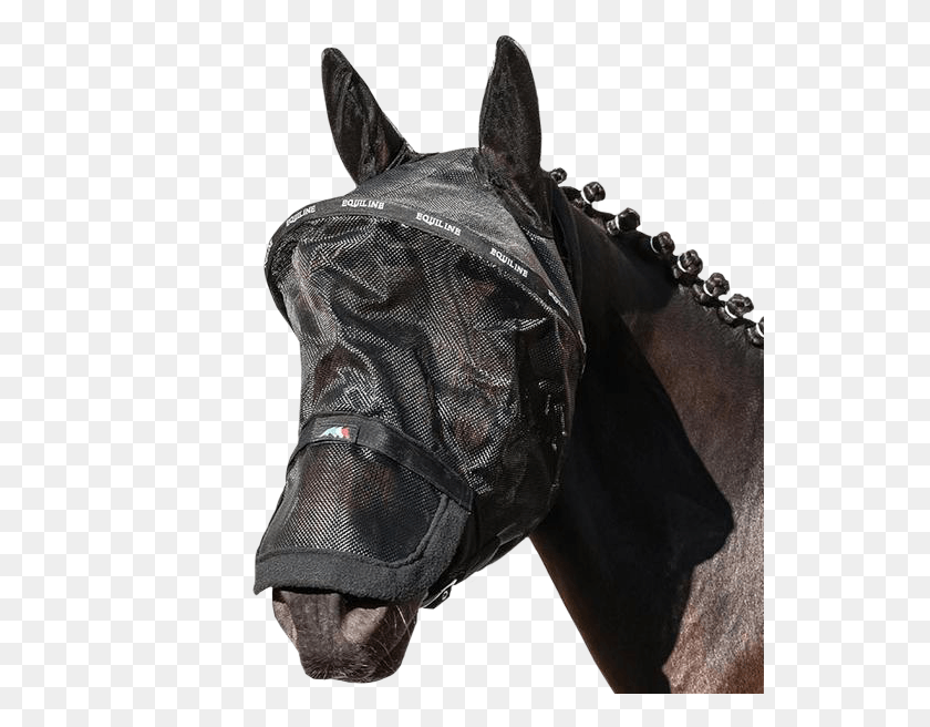 540x596 Paddock Mesh Mask Benson By Equiline Horse Fly Mesh Equiline Benson, Clothing, Apparel, Person HD PNG Download