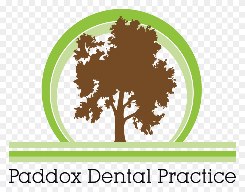 1000x766 Paddoxlogo Registered Dental Nurse, Text, Plant, Graphics HD PNG Download
