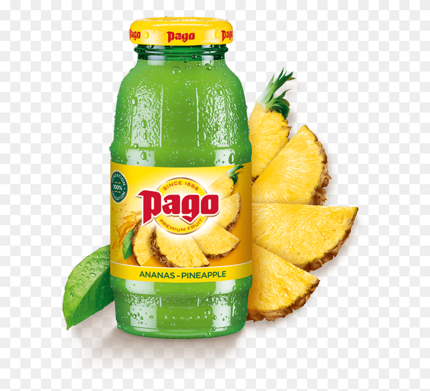 601x704 Pago Sokovi, Plant, Beverage, Drink HD PNG Download