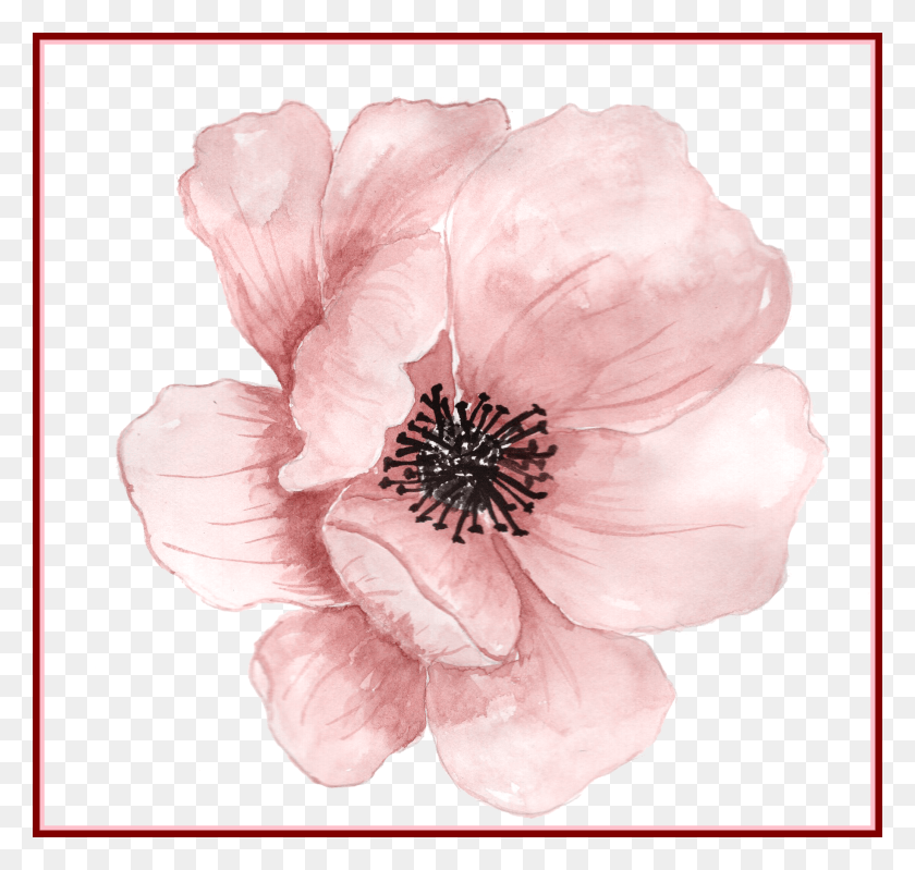 1830x1734 Paint Flower Cliparts Transparent Background Watercolor Flower, Plant, Blossom, Rose HD PNG Download