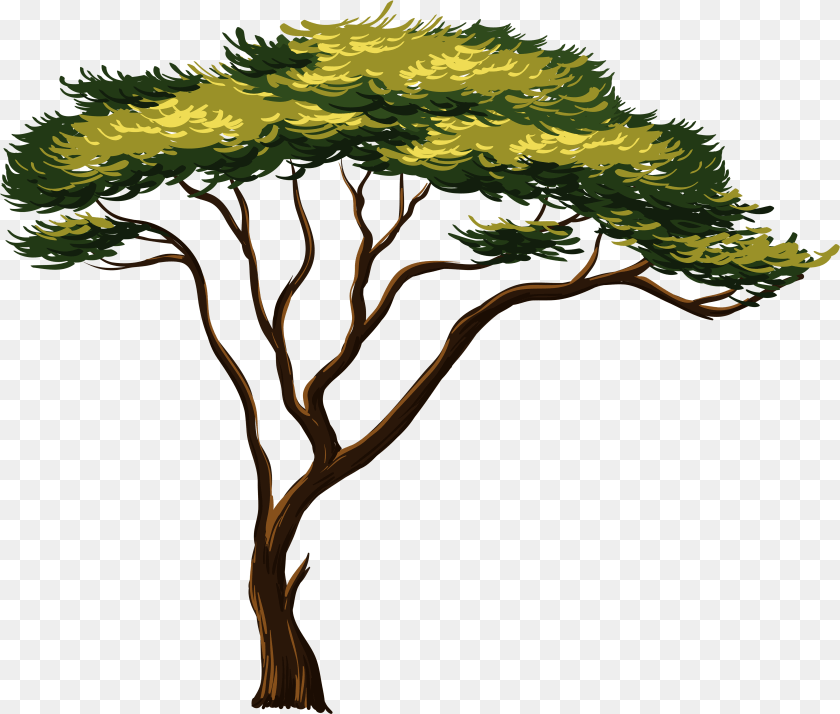 4649x3953 Painted African Picture Trees African Tree, Plant, Art, Vegetation, Painting Sticker PNG